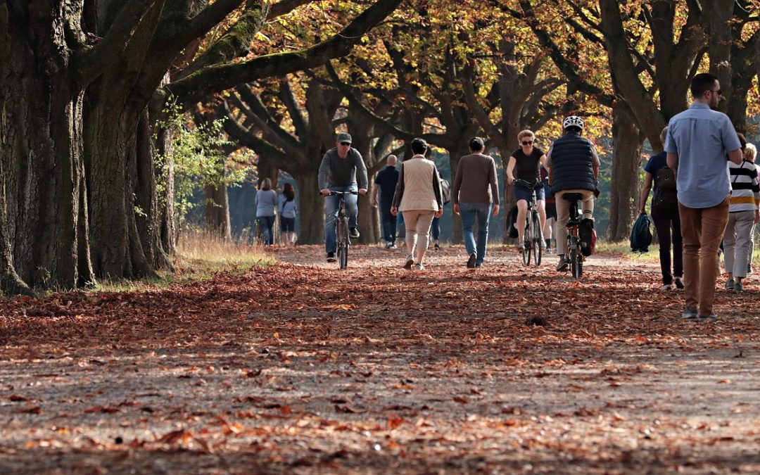 Servizio di trasporto pubblico dal centro di Pisa alla Tenuta di San Rossore_AT Autolinee Toscane